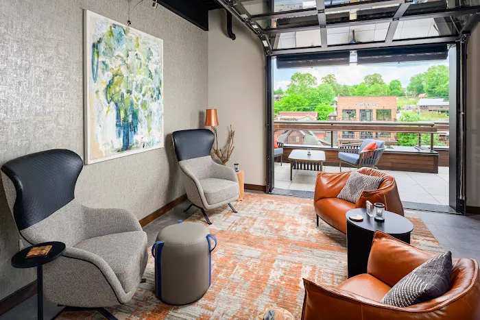 Hampton Inn Blue Ridge 4