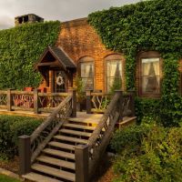 White Birch Inn ico