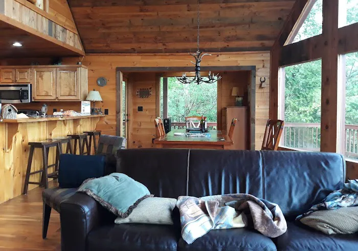 Wild Thing Cabin 4