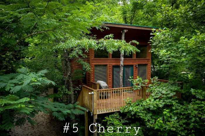 River's Edge Treehouse Resort 4
