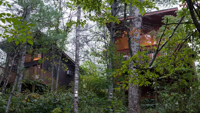 River's Edge Treehouse Resort 4