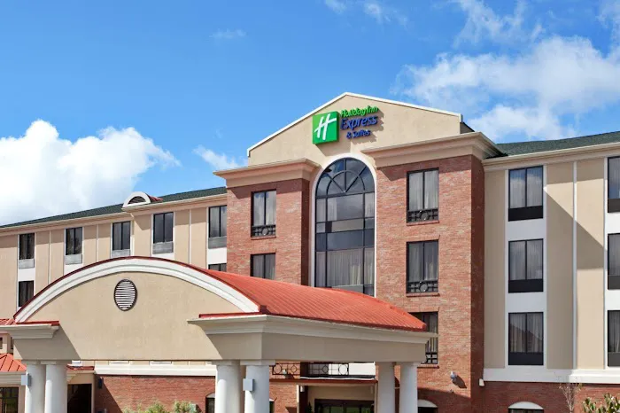 Holiday Inn Express & Suites Lavonia by IHG 4