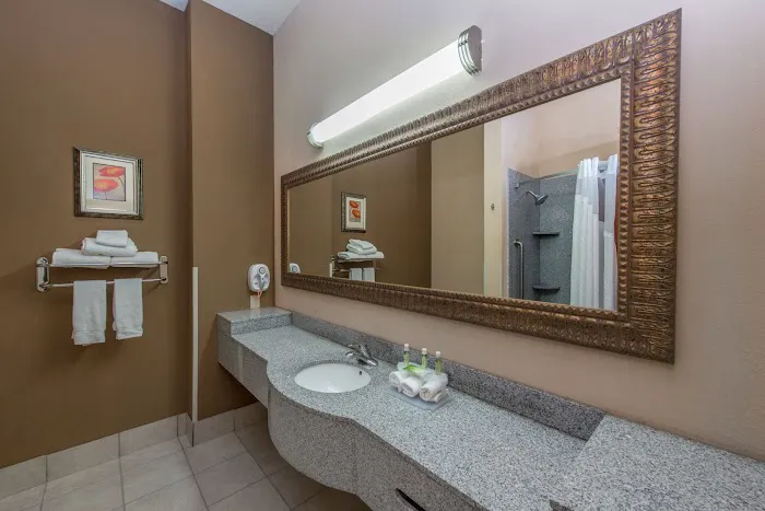 Holiday Inn Express & Suites Lavonia by IHG 4