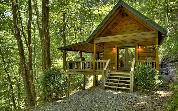 Our Cozy Cabin 4