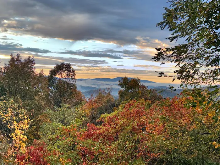 Blue Ridge Cabin 4