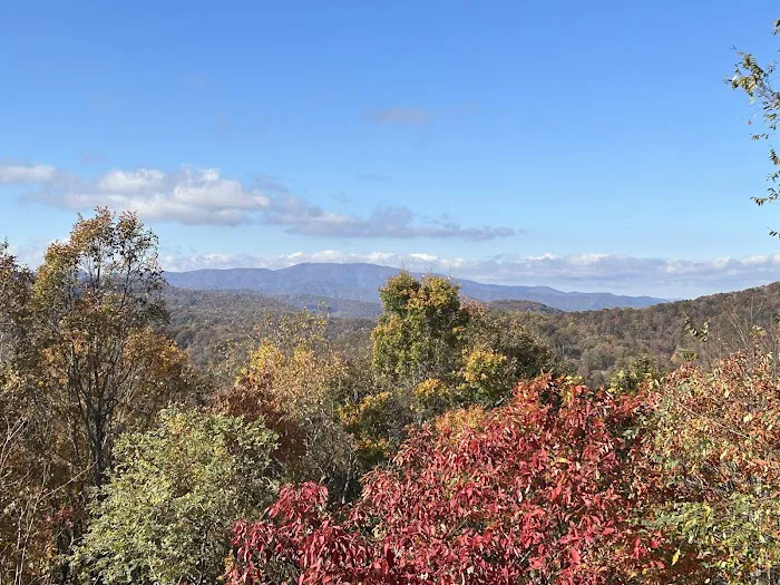 Blue Ridge Cabin 4