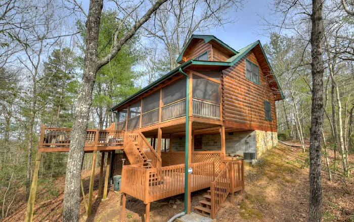 Golden Eagle GA Cabin 4