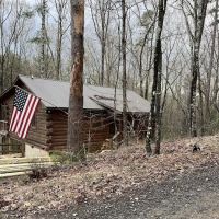 Honey Hideout ico
