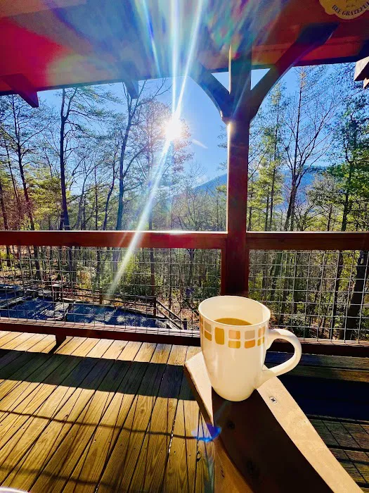 TheDreamRoom-CabinRental 4