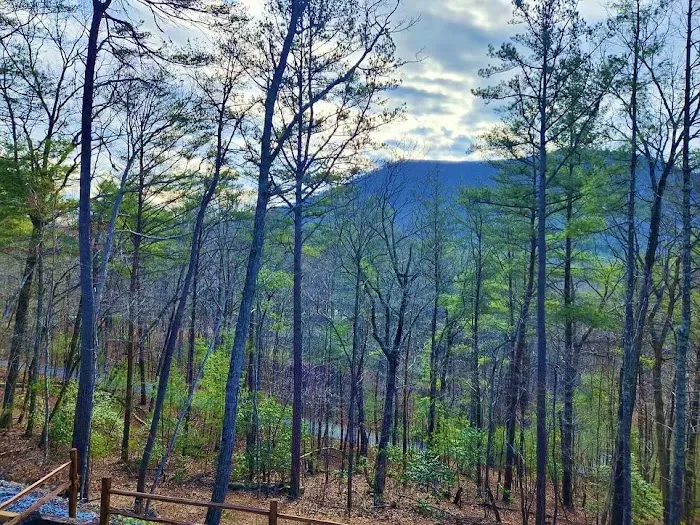 TheDreamRoom-CabinRental 4