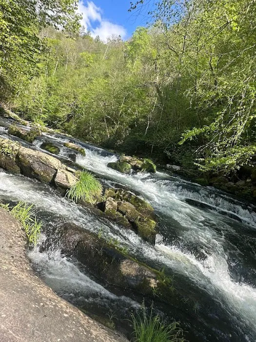 BaseCamp Smoky Mountains 4