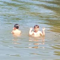 Lake Hartwell Home ico