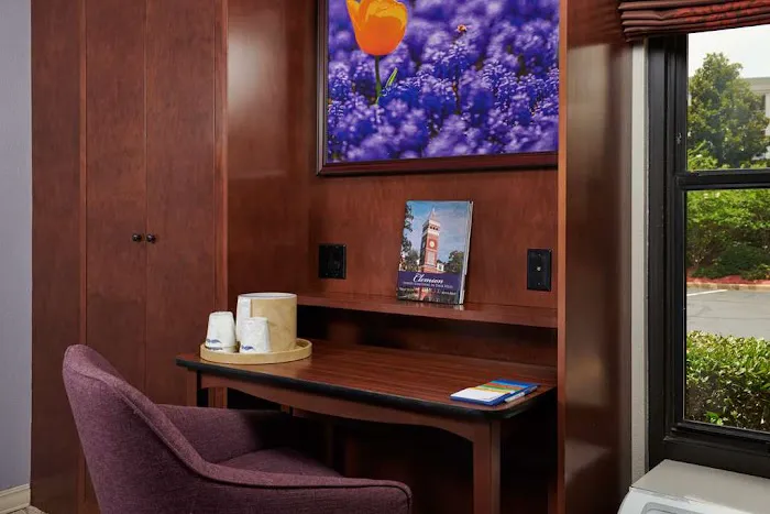Hampton Inn Clemson-University Area 4