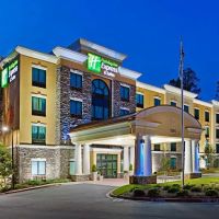 Holiday Inn Express & Suites Clemson - Univ Area by IHG ico