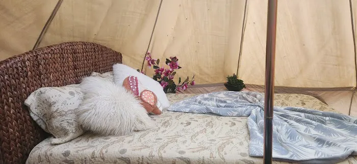 Magnolia Moon Farm Airbnb 4
