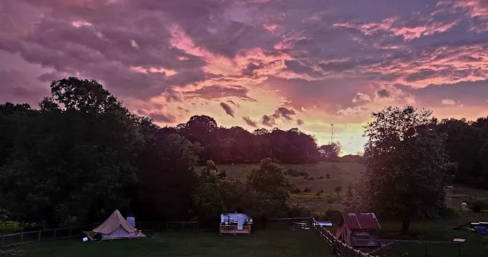Magnolia Moon Farm Airbnb 4