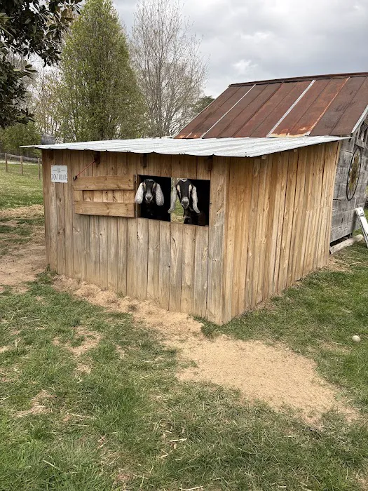 Magnolia Moon Farm Airbnb 4