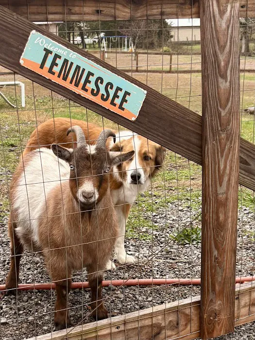Magnolia Moon Farm Airbnb 4