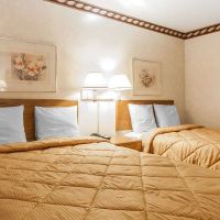 Rodeway Inn ico