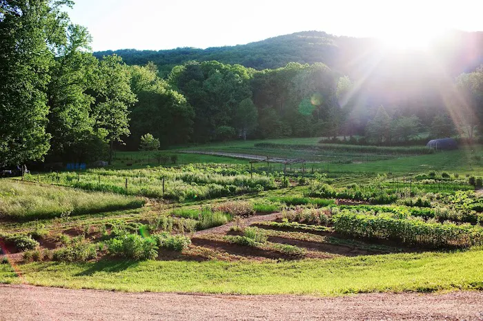 Blackberry Farm 4