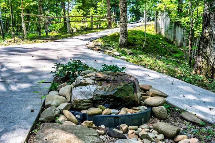 Laurel Valley Mountain Retreat 4