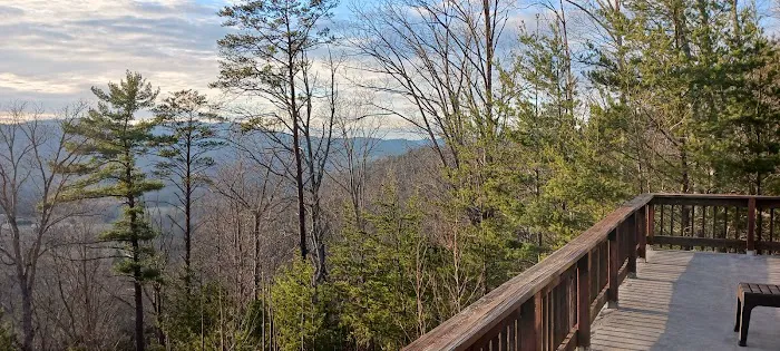 Bear lodge 3