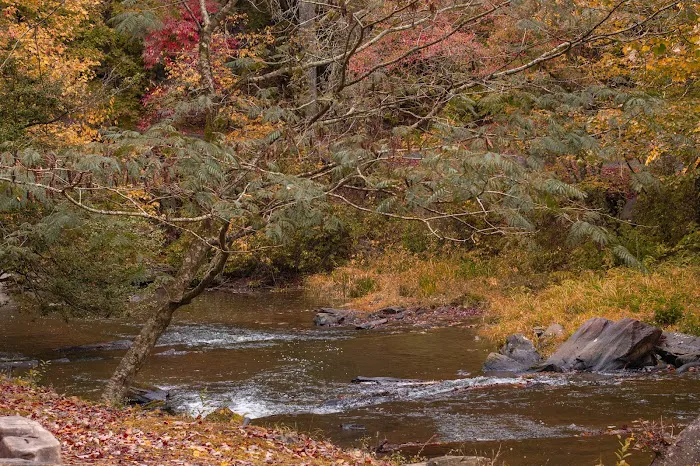River Run 4