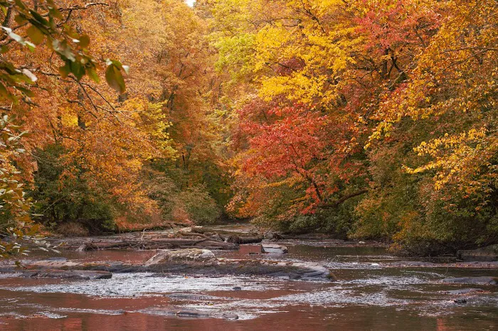 River Run 4