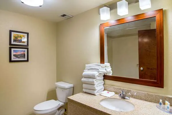 Comfort Inn Acworth - Kennesaw Northwest 4