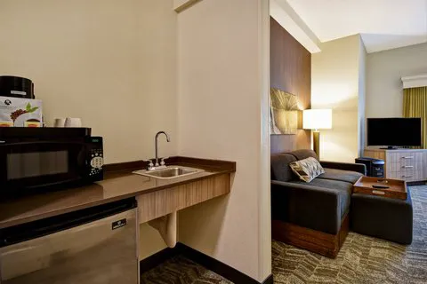 SpringHill Suites Atlanta Kennesaw 5