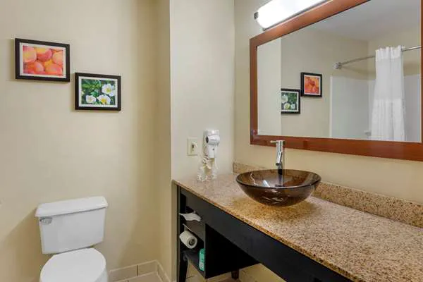Comfort Inn & Suites 4