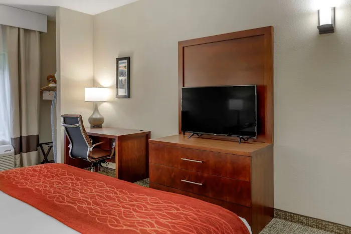 Comfort Inn & Suites 4