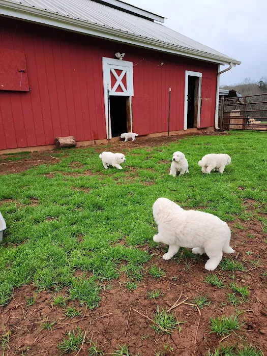 Black Creek Farm 4