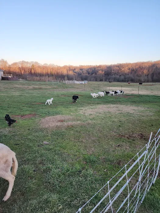 Black Creek Farm 4