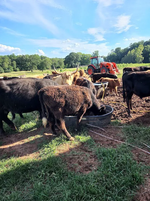 Black Creek Farm 4