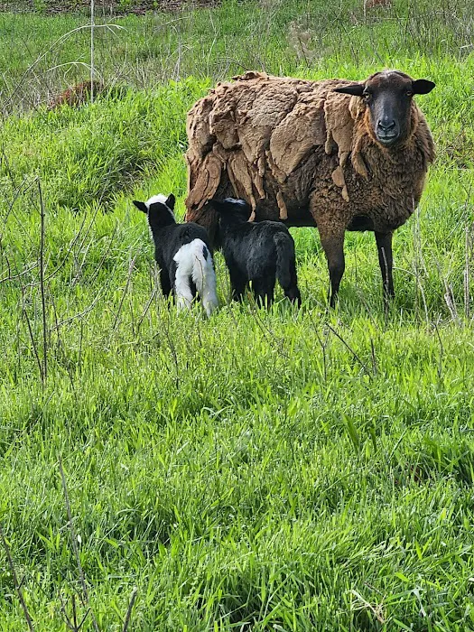 Black Creek Farm 4