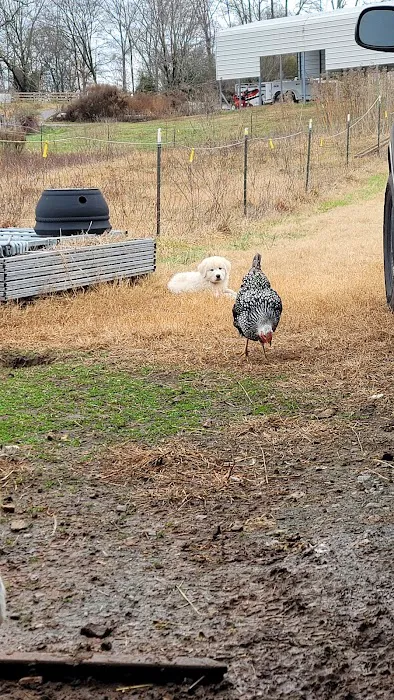 Black Creek Farm 4