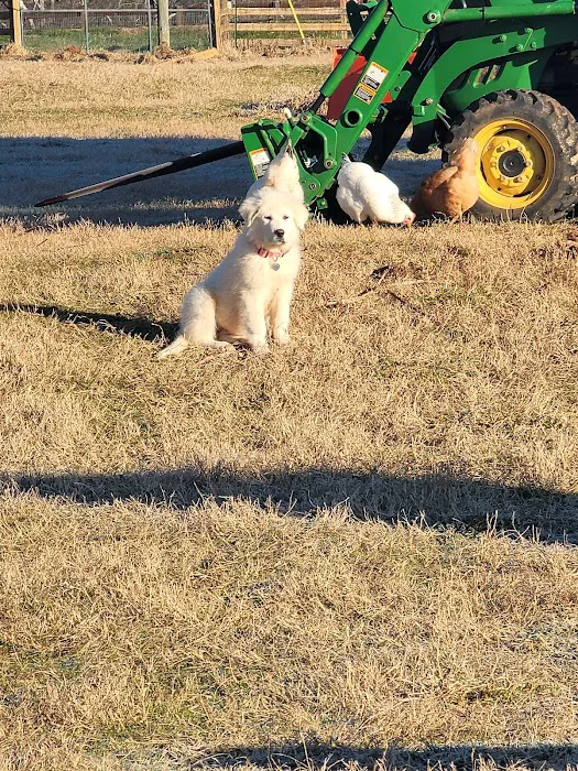 Black Creek Farm 4