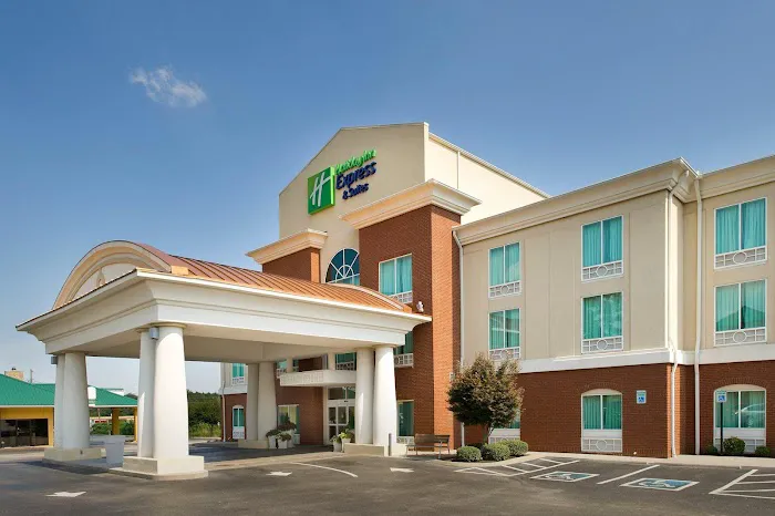 Holiday Inn Express & Suites Lenoir City (Knoxville Area) by IHG 4