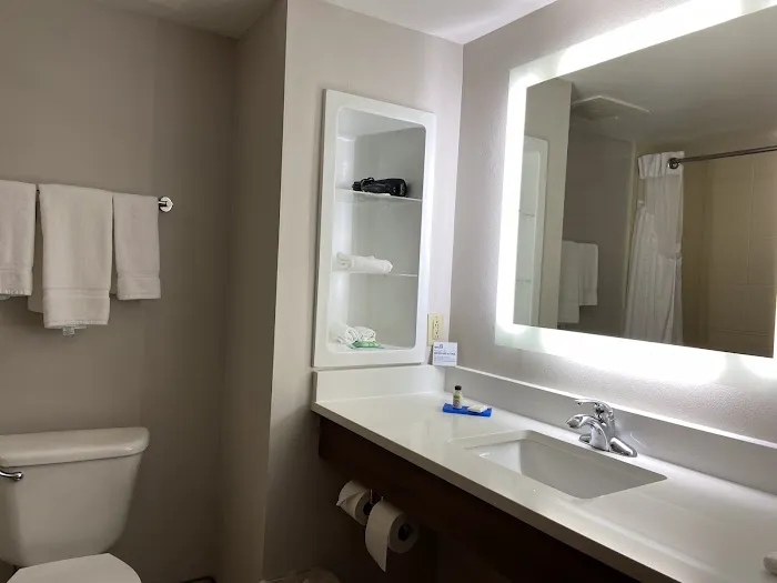 Holiday Inn Express & Suites Lenoir City (Knoxville Area) by IHG 4