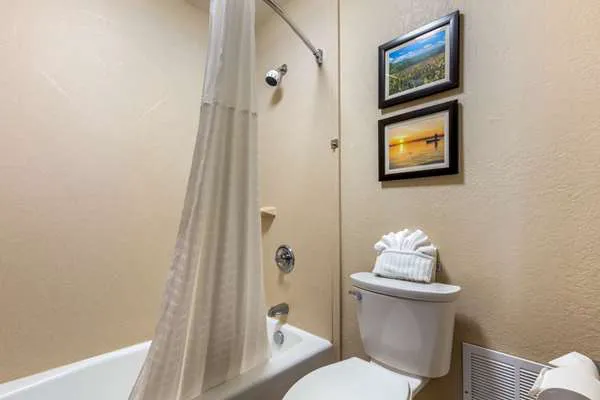 Comfort Inn Lenoir City-Knoxville 4