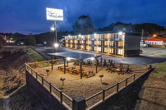 The Mallard Hotel 4