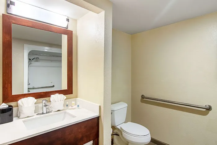 Comfort Suites Knoxville Airport 4