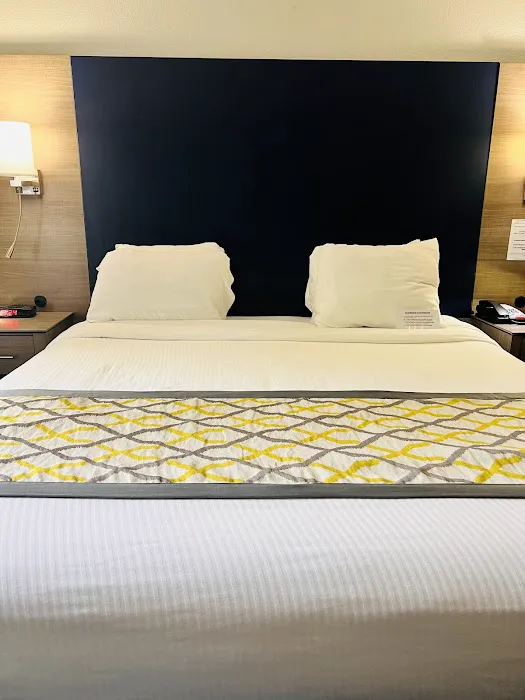 Best Western Knoxville Airport/Alcoa 4