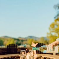 Tremont Lodge & Resort ico