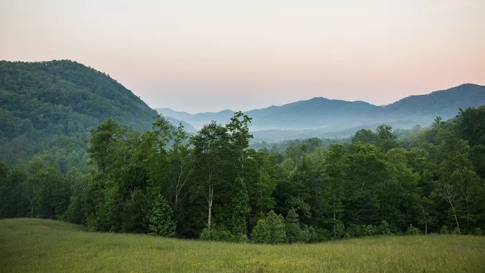 Blackberry Mountain 4