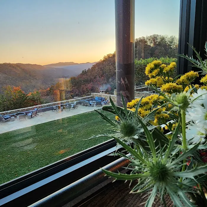 Blackberry Mountain Resort 4