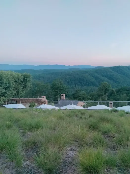 Blackberry Mountain Resort 4