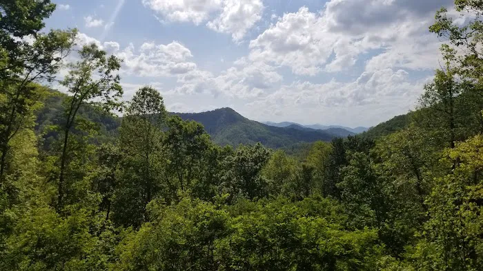 Gentle Bear Overlook 4