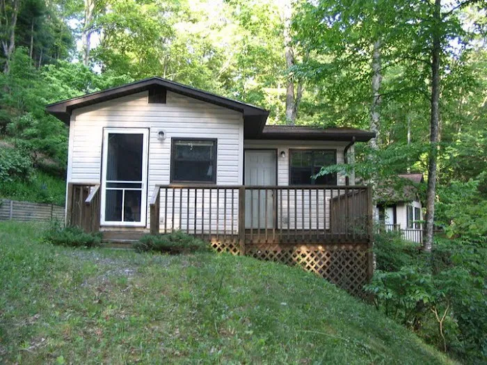 Harry's House in the Smoky Mountains 4